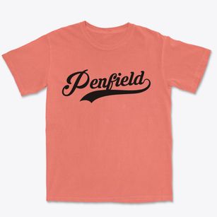 Penfield Illinois Vintage Team Premium Heavyweight T-shirt