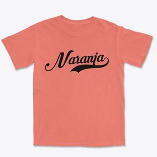 Naranja Florida Vintage Team Premium Heavyweight T-shirt