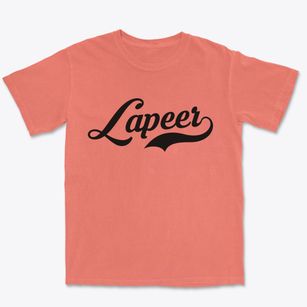 Lapeer Michigan Vintage Team Premium Heavyweight T-shirt