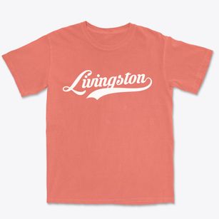 Livingston Alabama Vintage Team Premium Heavyweight T-shirt