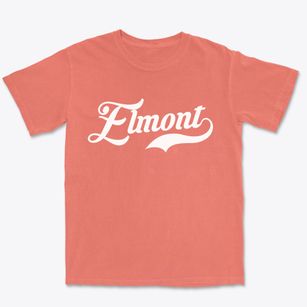 Elmont New York Vintage Team Premium Heavyweight T-shirt