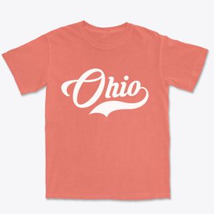 Ohio New York Vintage Team Premium Heavyweight T-shirt