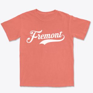 Fremont Iowa Vintage Team Premium Heavyweight T-shirt