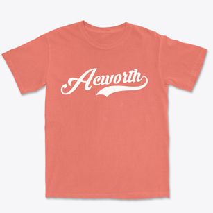 Acworth Georgia Vintage Team Premium Heavyweight T-shirt