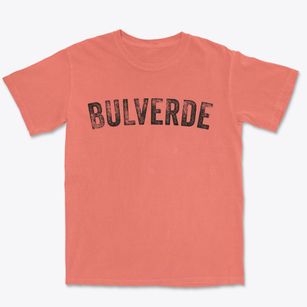 Bulverde Texas Timeless Retro Premium Heavyweight T-shirt