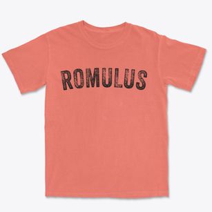 Romulus New York Timeless Retro Premium Heavyweight T-shirt