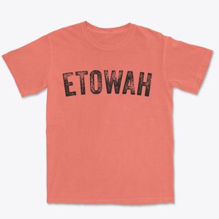 Etowah Tennessee Timeless Retro Premium Heavyweight T-shirt
