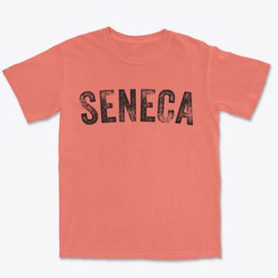 Seneca Kansas Timeless Retro Premium Heavyweight T-shirt