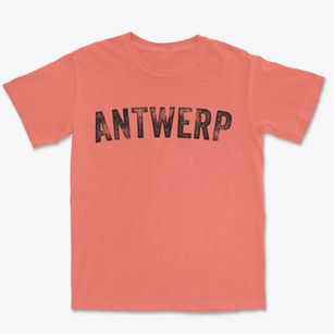Antwerp New York Timeless Retro Premium Heavyweight T-shirt