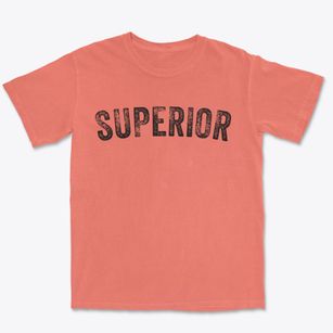 Superior Iowa Timeless Retro Premium Heavyweight T-shirt