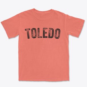 Toledo Ohio Timeless Retro Premium Heavyweight T-shirt