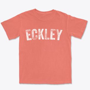 Eckley Colorado Timeless Retro Premium Heavyweight T-shirt