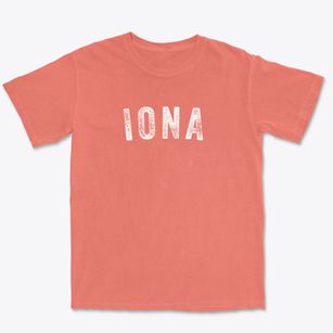 Iona Minnesota Timeless Retro Premium Heavyweight T-shirt