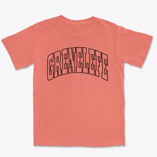 Grenelefe Florida Trendy Block Premium Heavyweight T-shirt