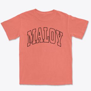 Maloy Iowa Trendy Block Premium Heavyweight T-shirt
