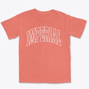 Imperial Nebraska Trendy Block Premium Heavyweight T-shirt