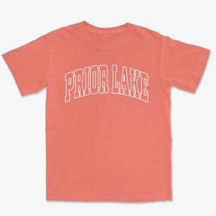 Prior Lake Minnesota Trendy Block Premium Heavyweight T-shirt