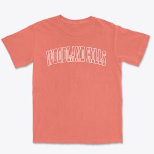 Woodland Hills Nebraska Trendy Block Premium Heavyweight T-shirt