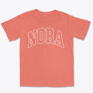 Nora Illinois Trendy Block Premium Heavyweight T-shirt