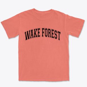 Wake Forest North Carolina Varsity Premium Heavyweight T-shirt