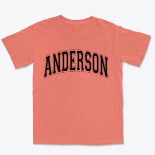 Anderson Missouri Varsity Premium Heavyweight T-shirt