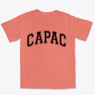 Capac Michigan Varsity Premium Heavyweight T-shirt