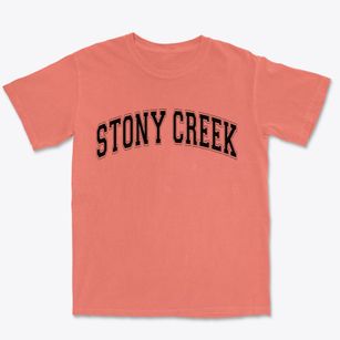 Stony Creek New York Varsity Premium Heavyweight T-shirt