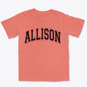 Allison Pennsylvania Varsity Premium Heavyweight T-shirt