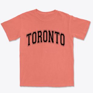 Toronto South Dakota Varsity Premium Heavyweight T-shirt