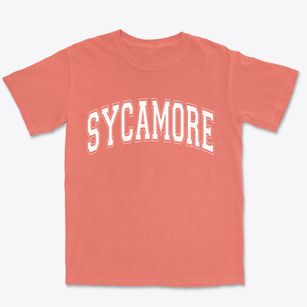 Sycamore Illinois Varsity Premium Heavyweight T-shirt