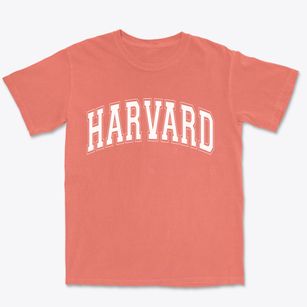 Harvard Illinois Varsity Premium Heavyweight T-shirt