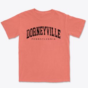 Dorneyville Pennsylvania Urban Vibe Premium Heavyweight T-shirt
