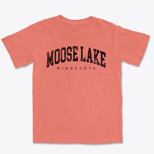 Moose Lake Minnesota Urban Vibe Premium Heavyweight T-shirt