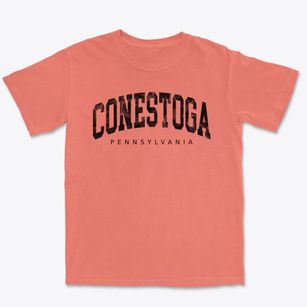 Conestoga Pennsylvania Urban Vibe Premium Heavyweight T-shirt