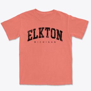 Elkton Michigan Urban Vibe Premium Heavyweight T-shirt