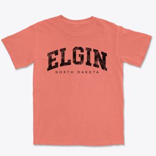 Elgin North Dakota Urban Vibe Premium Heavyweight T-shirt