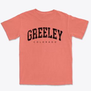 Greeley Colorado Urban Vibe Premium Heavyweight T-shirt