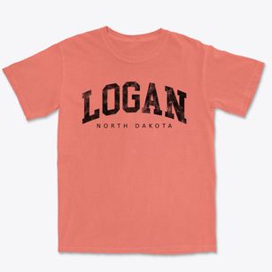 Logan North Dakota Urban Vibe Premium Heavyweight T-shirt