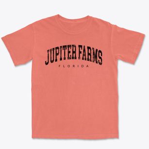 Jupiter Farms Florida Urban Vibe Premium Heavyweight T-shirt