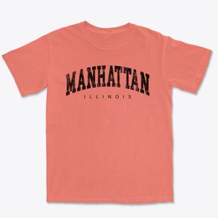 Manhattan Illinois Urban Vibe Premium Heavyweight T-shirt