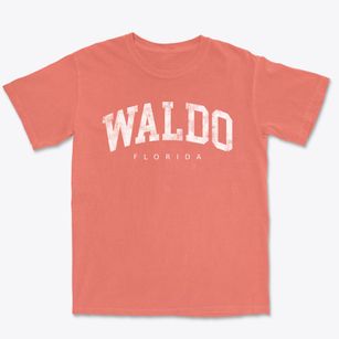 Waldo Florida Urban Vibe Premium Heavyweight T-shirt