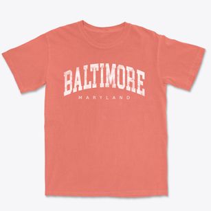 Baltimore Maryland Urban Vibe Premium Heavyweight T-shirt