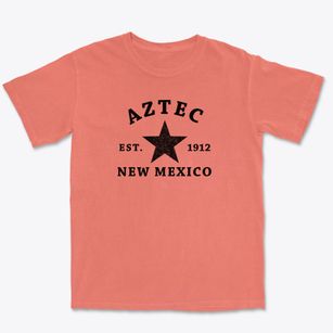 Aztec New Mexico Star Premium Heavyweight T-shirt
