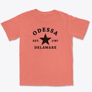 Odessa Delaware Star Premium Heavyweight T-shirt