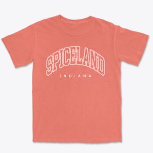 Spiceland Indiana Inline Premium Heavyweight T-shirt