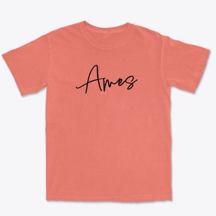 Ames West Virginia Freestyle Premium Heavyweight T-shirt