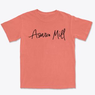 Asarco Mill New Mexico Freestyle Premium Heavyweight T-shirt