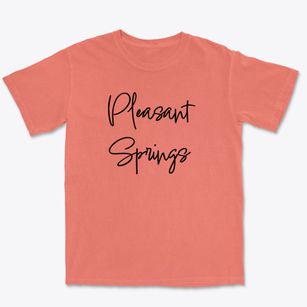 Pleasant Springs Wisconsin Freestyle Premium Heavyweight T-shirt