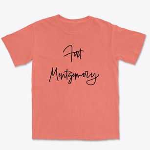 Fort Montgomery New York Freestyle Premium Heavyweight T-shirt