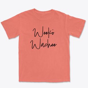 Weeki Wachee Florida Freestyle Premium Heavyweight T-shirt